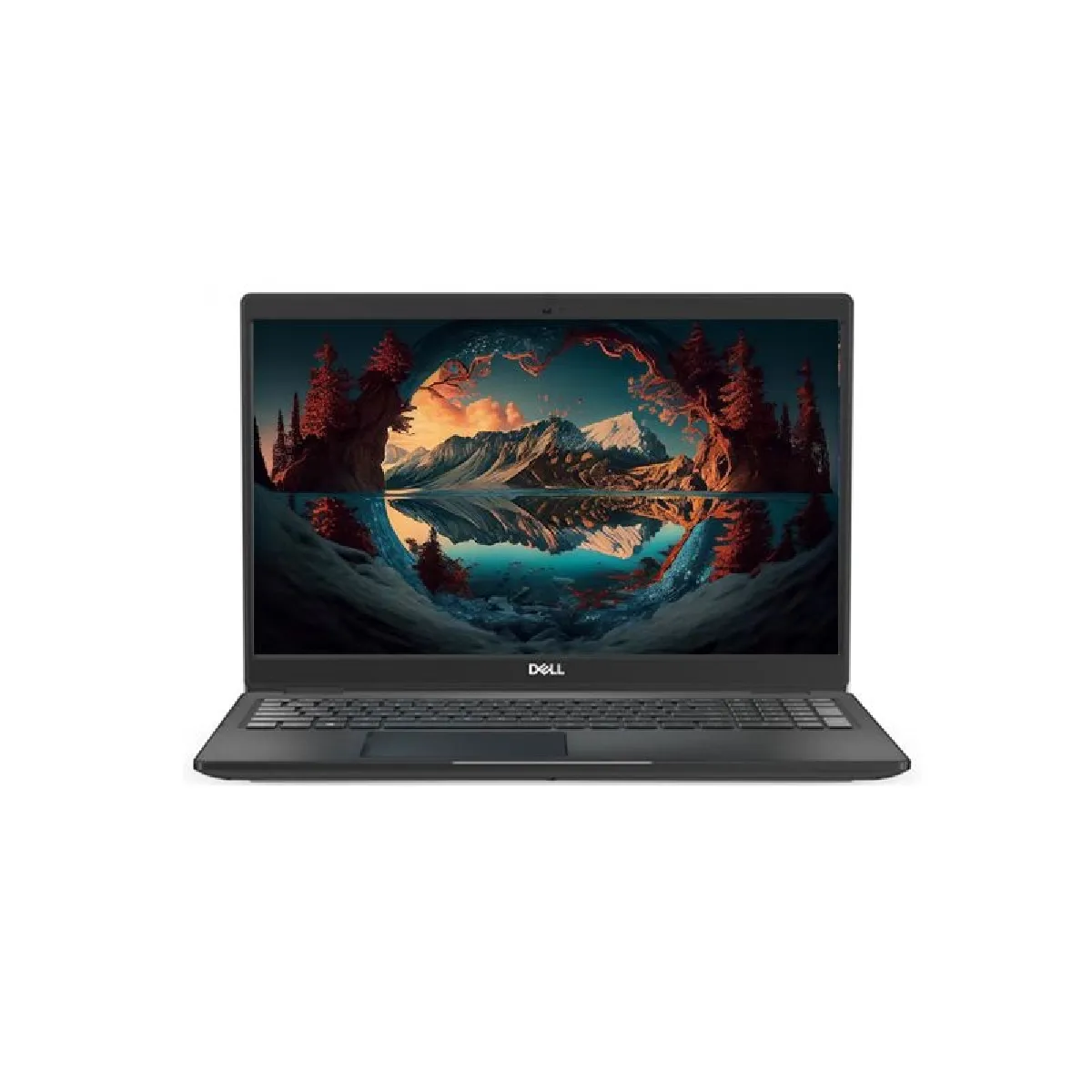 Dell Latitude 3510 - i5 Gen 10 i5 - 8 Go RAM - SSD 256 Go - Linux
